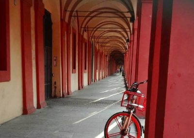 mobike1